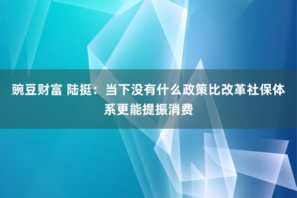 豌豆财富 陆挺：当下没有什么政策比改革社保体系更能提振消费