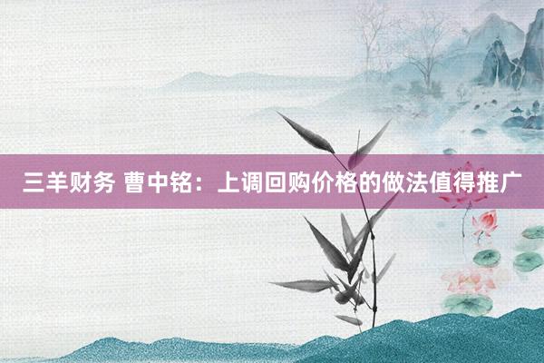 三羊财务 曹中铭：上调回购价格的做法值得推广