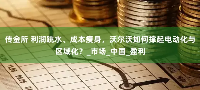 传金所 利润跳水、成本瘦身，沃尔沃如何撑起电动化与区域化？_市场_中国_盈利