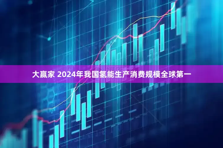 大赢家 2024年我国氢能生产消费规模全球第一