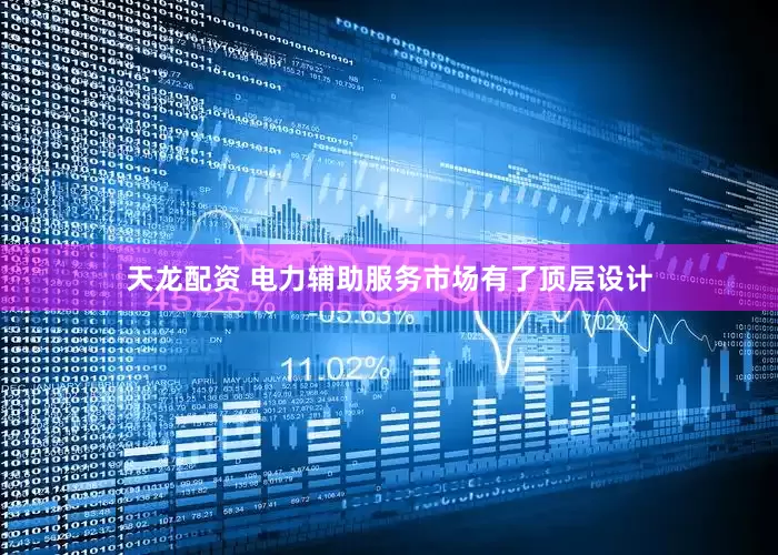 天龙配资 电力辅助服务市场有了顶层设计