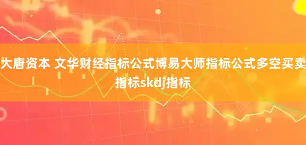 大唐资本 文华财经指标公式博易大师指标公式多空买卖指标skdj指标
