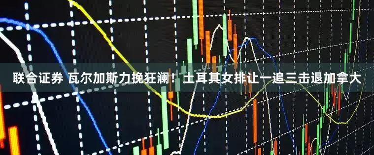 联合证券 瓦尔加斯力挽狂澜！土耳其女排让一追三击退加拿大
